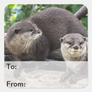 Zwei niedlicher Otter der Otter-  Quadratischer Aufkleber