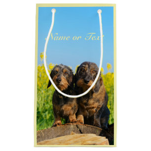 Zwei niedliches Dackel-HundDackel Foto Kleine Geschenktüte