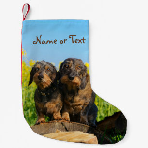 Zwei niedliches Dackel-HundDackel Freund-Haustier Kleiner Weihnachtsstrumpf