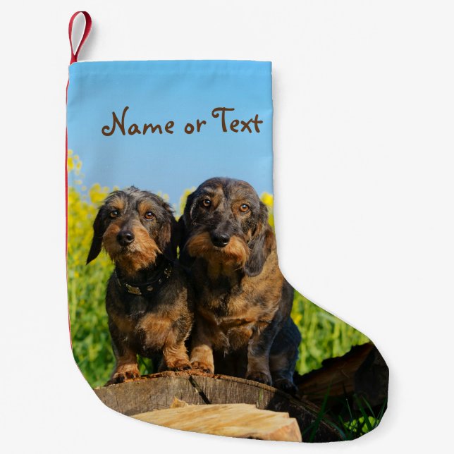 Zwei niedliches Dackel-HundDackel Freund-Haustier Kleiner Weihnachtsstrumpf (Vorderseite)
