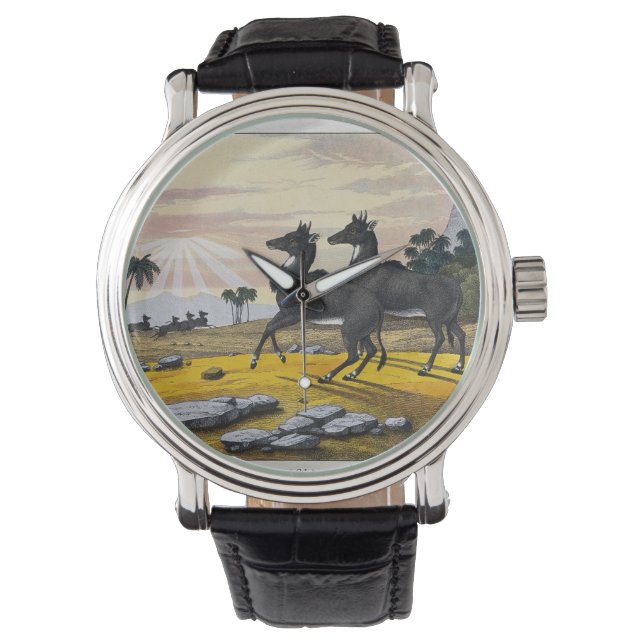 Zwei Nilgai stehend in einer Bergwelt Armbanduhr (Vorderseite)