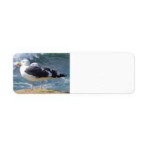 ZWEI OCEAN SEAGULLS WAVELLS ROCK BEACH FOTOGRAFIE