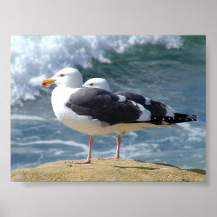 ZWEI OCEAN SEAGULLS WAVELLS ROCK BEACH FOTOGRAFIE  POSTER