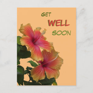 Zwei orange Hibiskusblüten Grußkarte Gute Besserun Postkarte