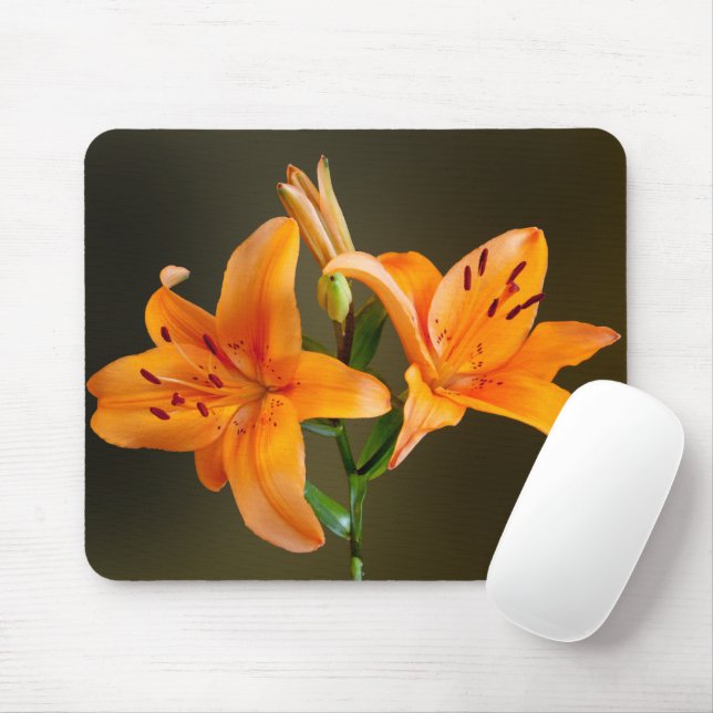 Zwei Orange Tiger Lilien und Buds Fotografie Mousepad (Mit Mouse)