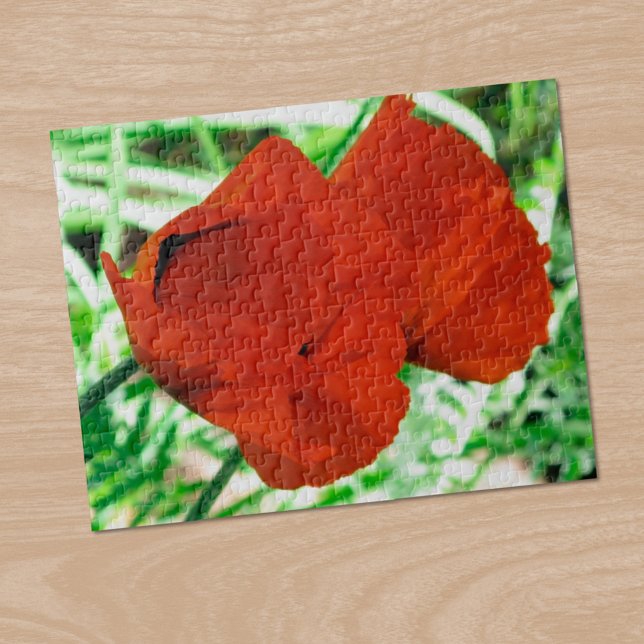 Zwei orientalische Poppies Blume Foto (Two Oriental Poppies Flower Photo Jigsaw Puzzle, in situ)