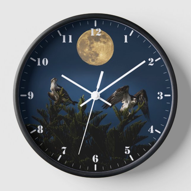 Zwei Ospreys bei Vollmond Uhr (Vorderseite)