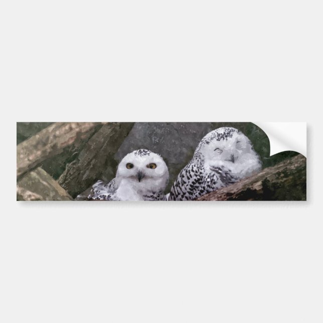 Zwei Owls Autoaufkleber (Vorne)
