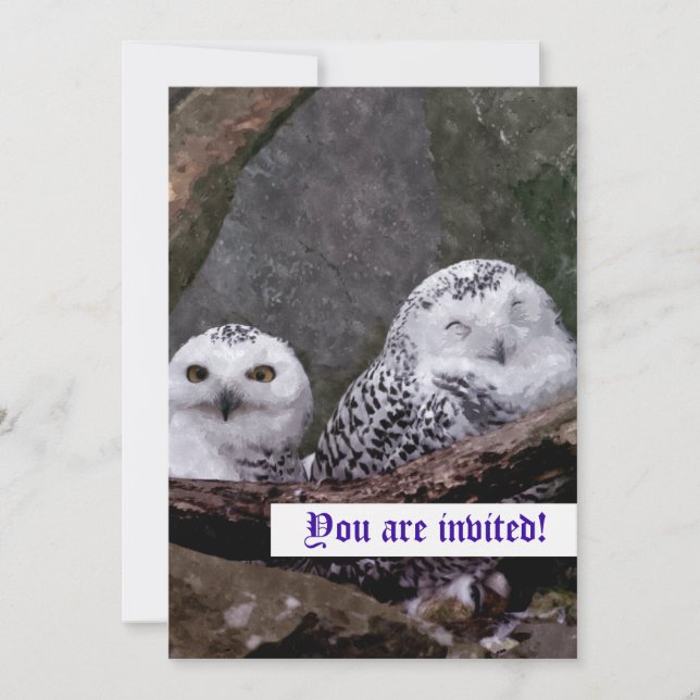Zwei Owls Einladung (Vorderseite)