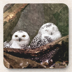 Zwei Owls Getränkeuntersetzer