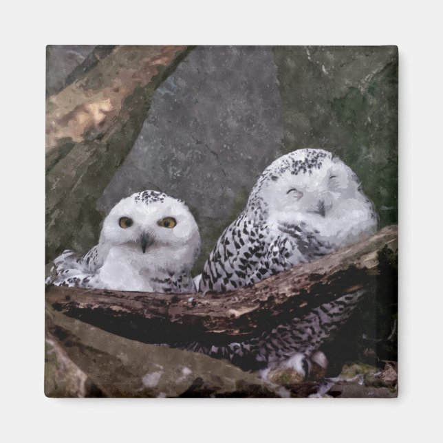 Zwei Owls Magnet (Vorne)