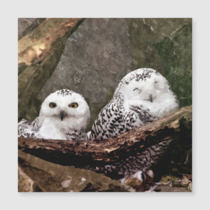 Zwei Owls Magnetkarte