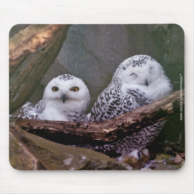 Zwei Owls Mousepad (Vorne)