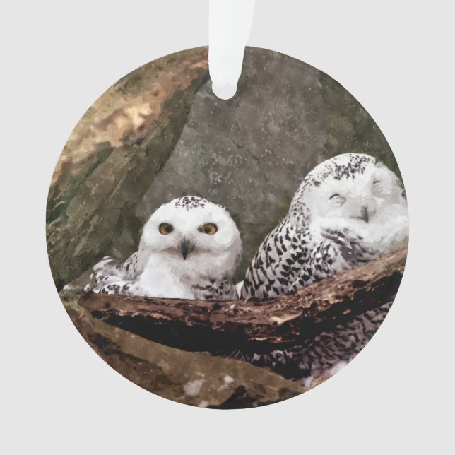 Zwei Owls Ornament (Vorderseite)