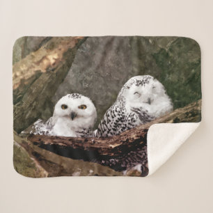 Zwei Owls Sherpadecke