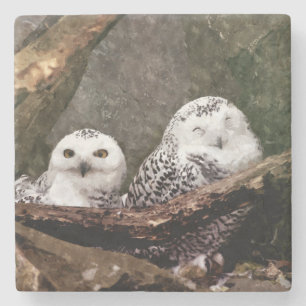 Zwei Owls Steinuntersetzer