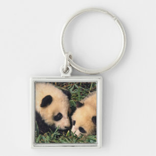 Zwei Pandajunge im Bambusdickicht, Wolong, Schlüsselanhänger