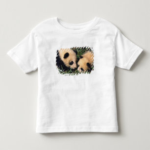 Zwei Pandajunge im Bambusgebüsch, Wolong, Kleinkind T-shirt