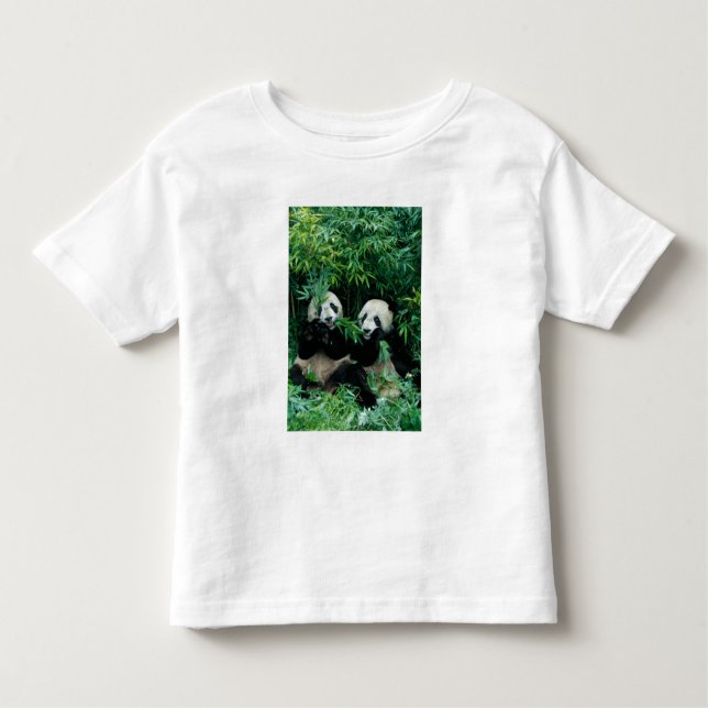 Zwei Pandas essen zusammen Bambus, Wolong Kleinkind T-shirt (Vorderseite)