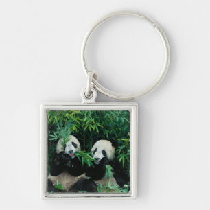 Zwei Pandas essen zusammen Bambus, Wolong Schlüsselanhänger