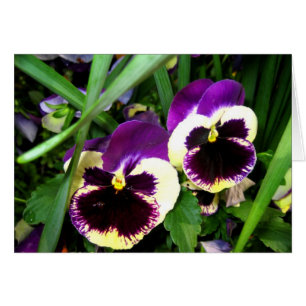 Zwei Pansy-Blumen - Karte