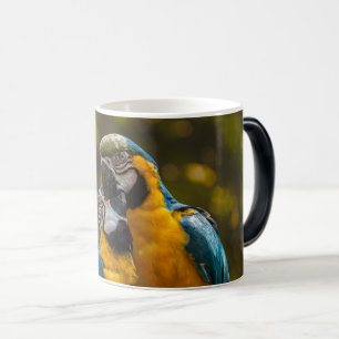 Zwei Papageien Tropische Vögel Verwandlungstasse