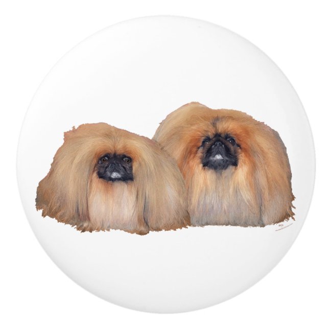 Zwei Pekingese Keramikknauf (Vorderseite)