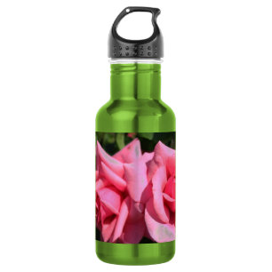 zwei perfekte heiß rosa Rosenblumen. Liebe Trinkflasche