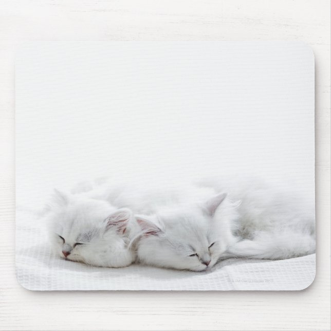 Zwei persische Kätzchen Mousepad (Vorne)