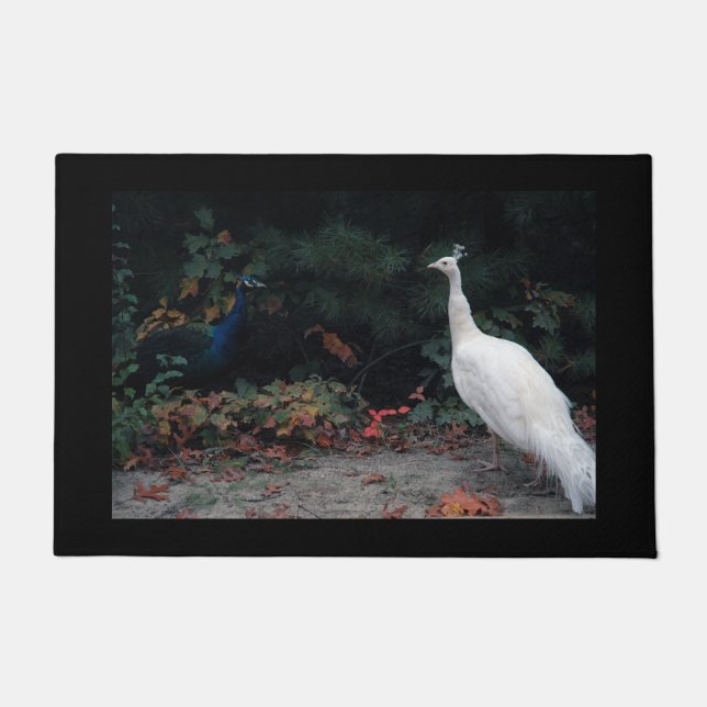 Zwei Pfau-Tür-Matte Fußmatte (Vorderseite)