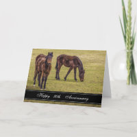 Zwei Pferde 50 Jahre