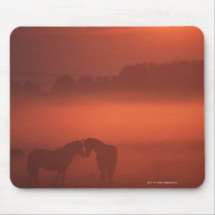 Zwei Pferde am Sonnenuntergang Mousepad