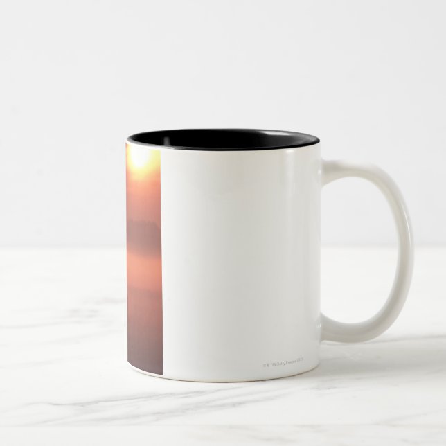 Zwei Pferde am Sonnenuntergang Zweifarbige Tasse (Rechts)