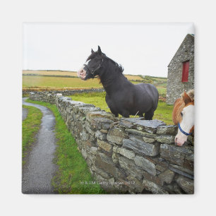 Zwei Pferde auf Bauernhof in ländlichem England Magnet