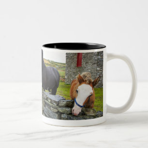 Zwei Pferde auf Bauernhof in ländlichem England Zweifarbige Tasse