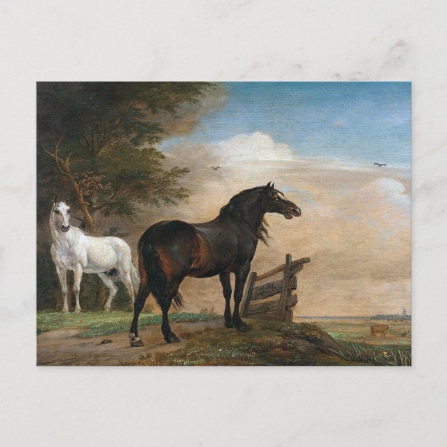 Zwei Pferde auf Weide Postkarte (Vorderseite)