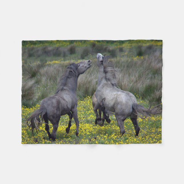 Zwei Pferde Buck and Play Fleecedecke (Vorderseite (Horizontal))