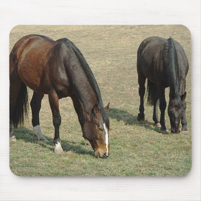 Zwei Pferde - Mousepad (Vorne)
