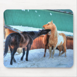 Zwei Pferde spielen Funny Equine Fotografie Mousepad