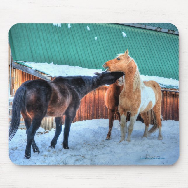 Zwei Pferde spielen Funny Equine Fotografie Mousepad (Vorne)