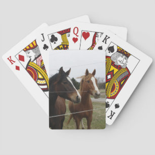 Zwei Pferde Spielkarten
