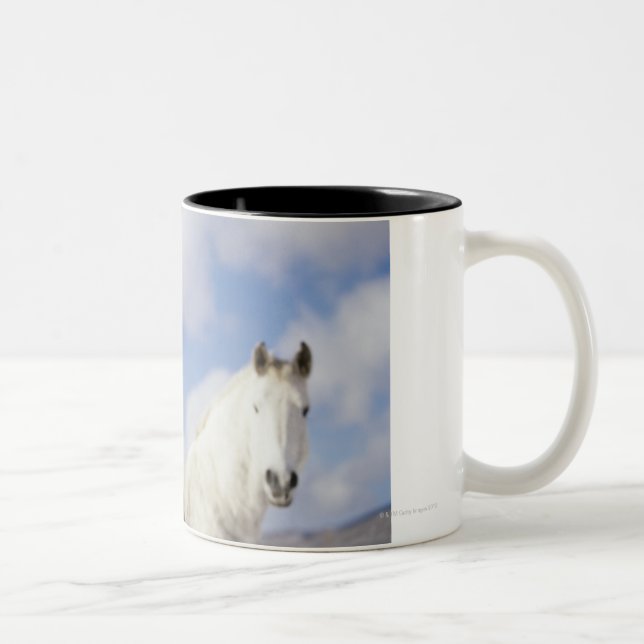 Zwei Pferde Zweifarbige Tasse (Rechts)