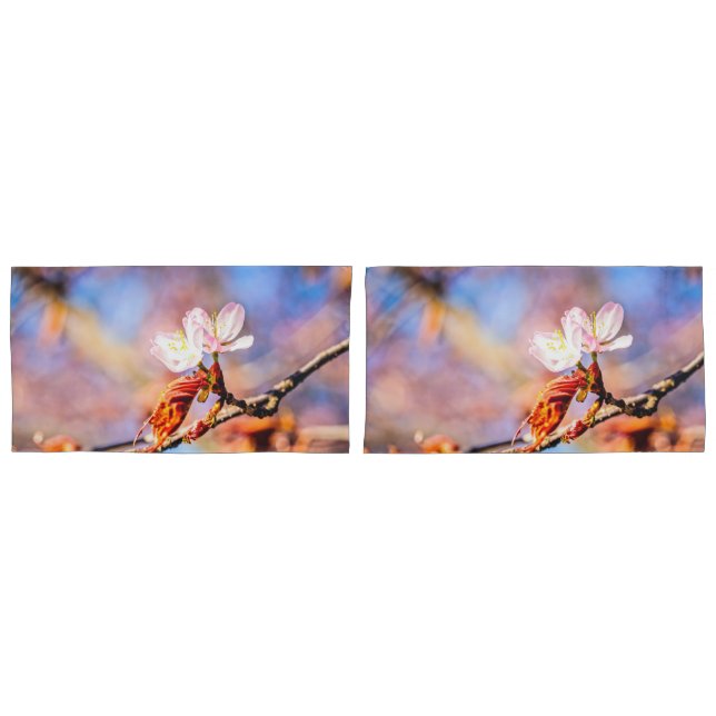 Zwei Phantastische Sakura-Blume. Rosa, blauer Hint Kissenbezug (Vorderseite-Set)