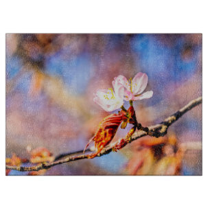Zwei Phantastische Sakura-Blume. Rosa, blauer Hint Schneidebrett