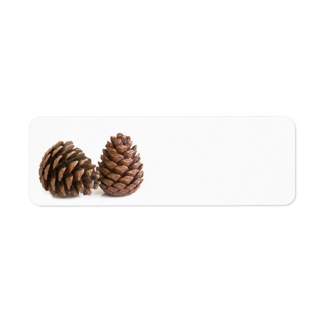 Zwei pinecones (Vorne)