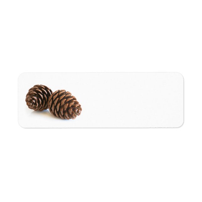 Zwei pinecones (Vorne)