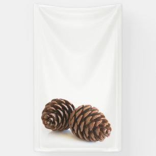 Zwei pinecones banner