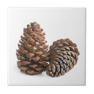 Zwei pinecones fliese