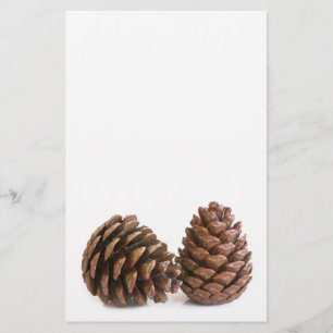 Zwei pinecones flyer