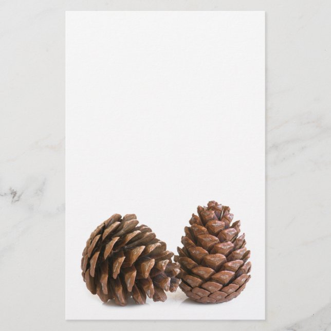 Zwei pinecones flyer (Vorne)